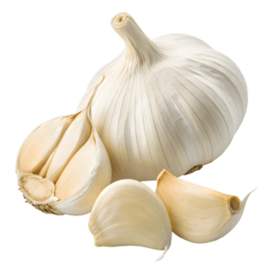 FRESH LOCAL GARLIC
